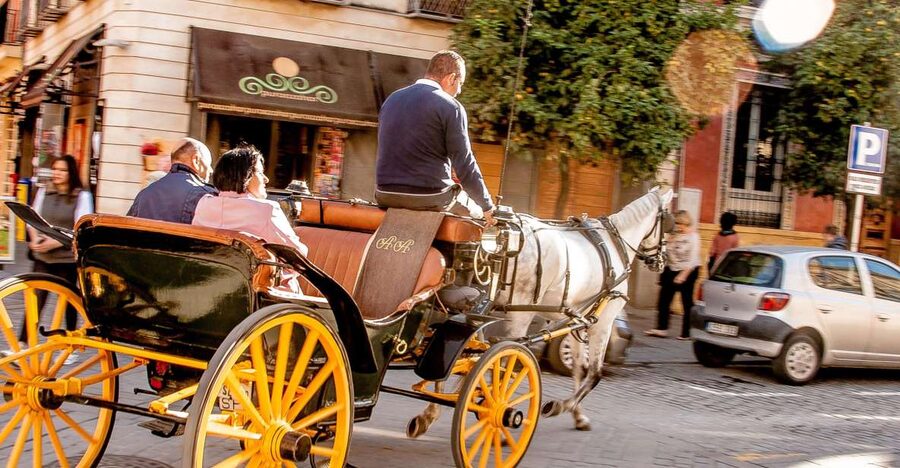 Seville: Authentic and Romantic Horse-Drawn Carriage Ride - A carriage ride for seeing Seville at a gentler pace