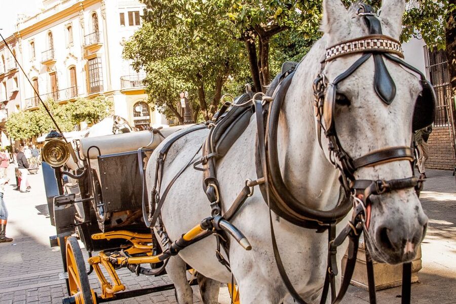 Seville: Authentic and Romantic Horse-Drawn Carriage Ride - What the $118 group price buys