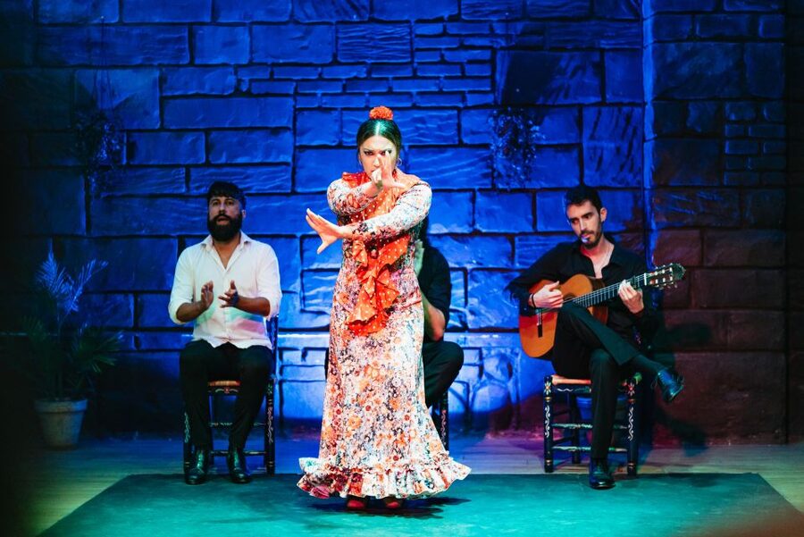 Seville: Baraka Sala Flamenca Show with Drink in Triana - Listen for the guitar, voice and footwork