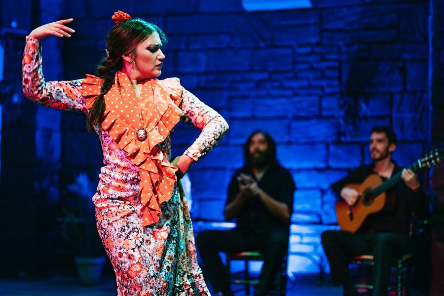 Seville: Baraka Sala Flamenca Show with Drink in Triana - What the $32 ticket buys you
