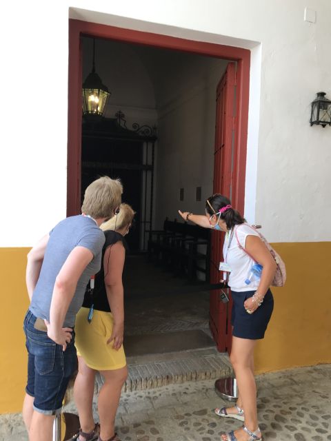 Seville: Bullring Guided Tour with a Skip-the-Line Ticket - Should you book the bullring tour?