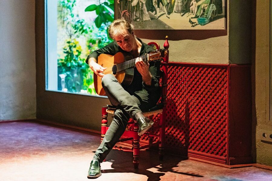Seville: Casa de la Memoria Flamenco Show - Who will get the most from this show