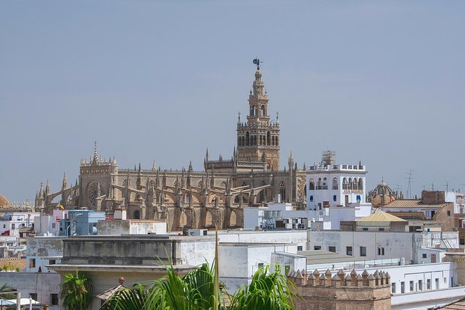 Seville Cathedral and Giralda Tower Guided Tour - Practical points before you book