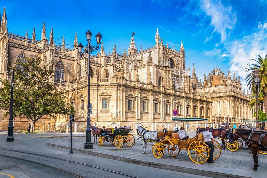 Seville: Cathedral and La Giralda Entry Ticket - Who should book this visit?