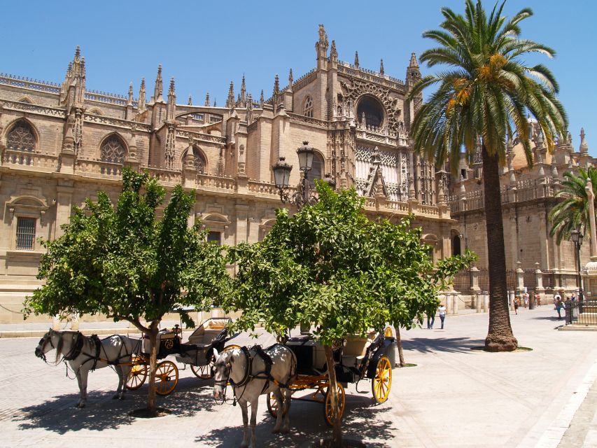 Seville: Cathedral, Giralda, and Alcazar Guided Tour - Who should book this tour