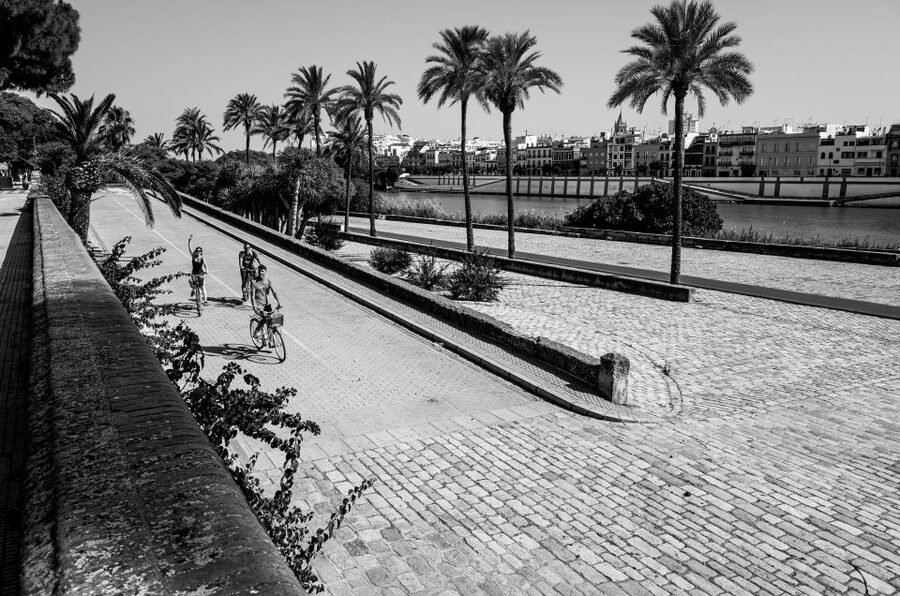 Seville: City Sightseeing and Local Culture Bike Tour - Is $31 a fair price?