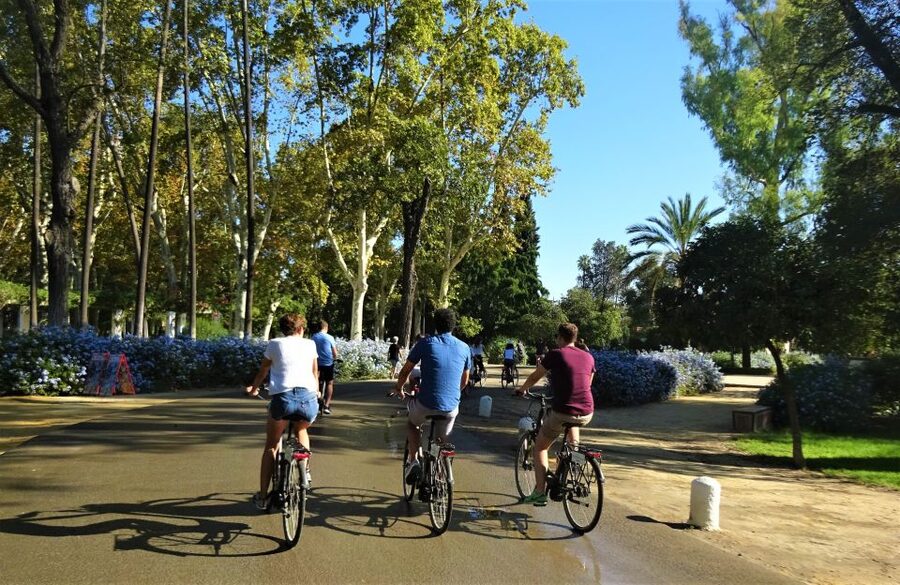 Seville: Electric Bike Tour in Small Group - Is $57 a fair price?