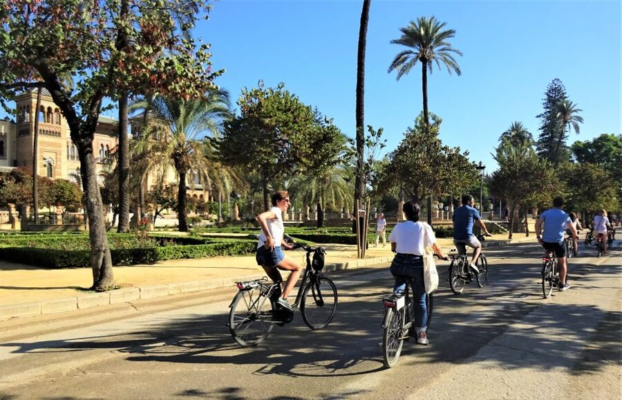 Seville: Electric Bike Tour in Small Group - Who should book this ride?