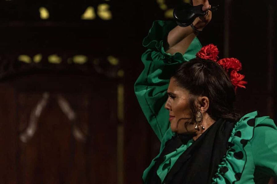 Seville: Flamenco Show at Tablao Almoraima in Triana - What happens during the one-hour show