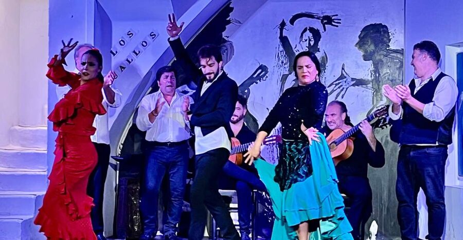Seville: Flamenco Show at Tablao Los Gallos - What to know before you book