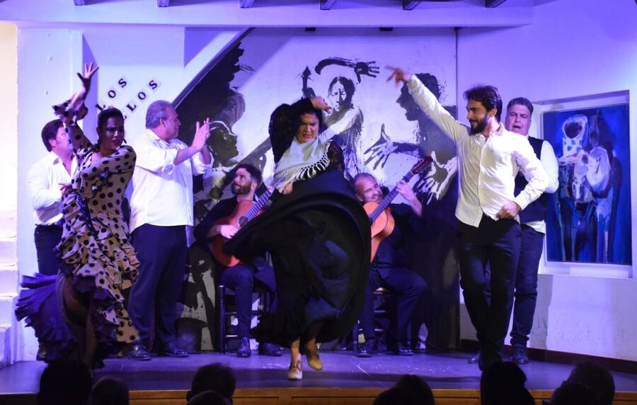Seville: Flamenco Show at Tablao Los Gallos - Who will get the most from this show?