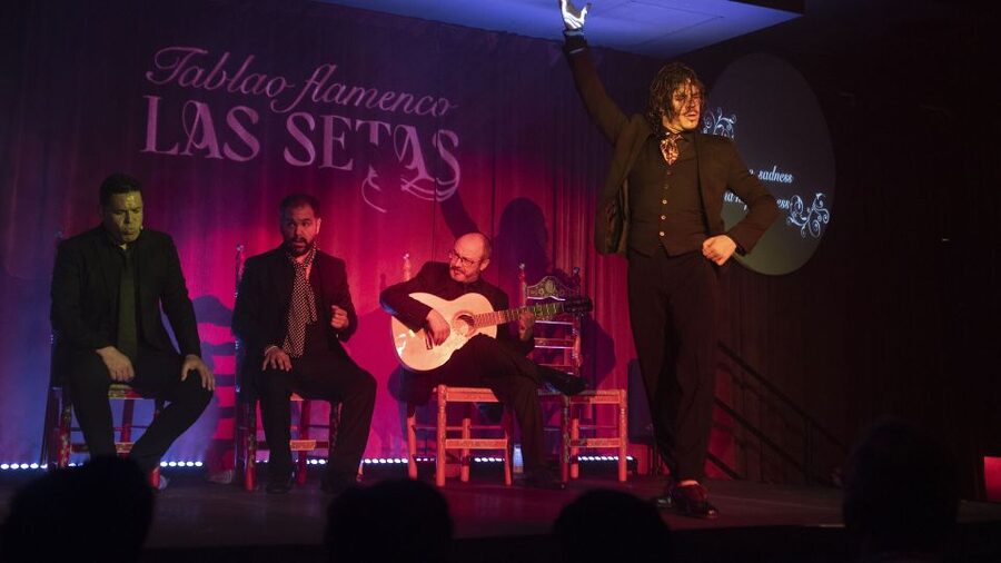 Seville: Flamenco Show & Roof Dinner with Cathedral Views - Inside Tablao Flamenco Las Setas