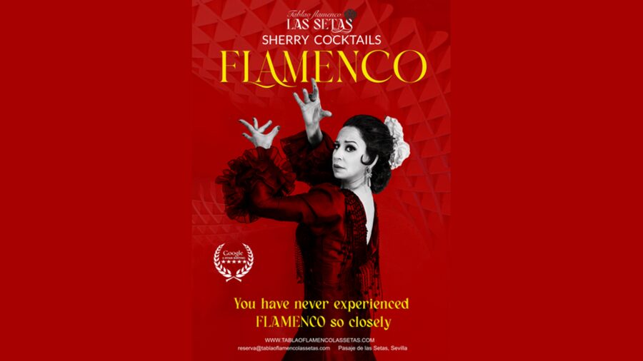 Seville: Flamenco Show Ticket at Tablao Flamenco Las Setas - A close-up hour at Las Setas