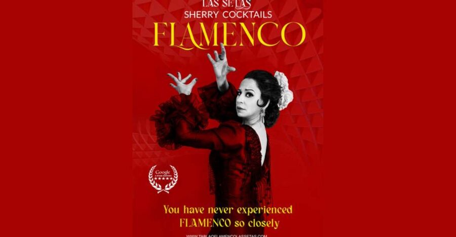 Seville: Flamenco Show Ticket at Tablao Flamenco Las Setas - From the door to the stage