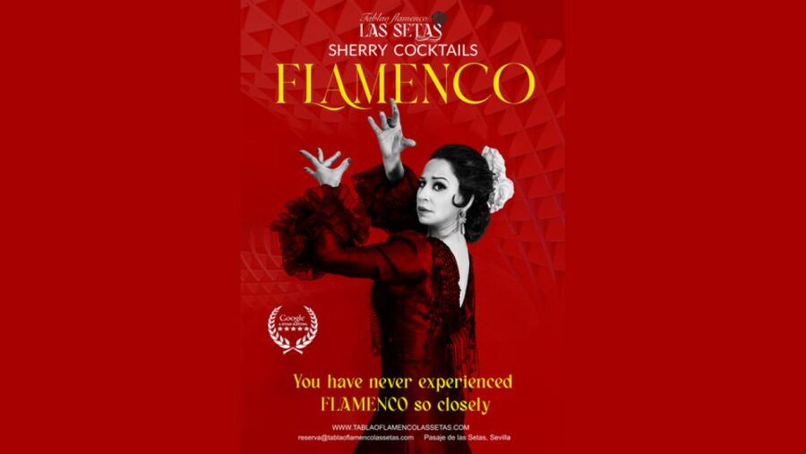 Seville: Flamenco Show Ticket at Tablao Flamenco Las Setas - Choosing a ticket and weighing the price