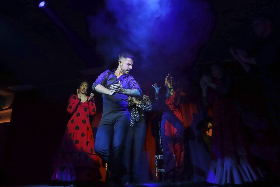 Seville: Flamenco Show Ticket at Tablao Flamenco Las Setas - Hearing the guitar, voices, and dance
