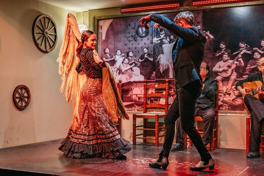 Seville: Flamenco Show with Andalusian Dinner at La Cantaora - Choosing the dinner that fits