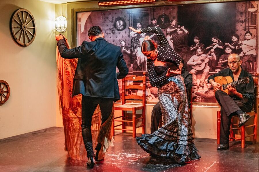 Seville: Flamenco Show with Andalusian Dinner at La Cantaora - Who will enjoy La Cantaora most