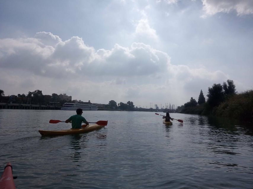 Seville: Guadalquivir River Kayaking Trip - Who will enjoy this kayak trip