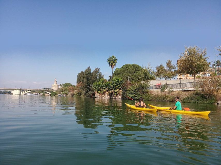 Seville: Guadalquivir River Kayaking Trip - Should you book the Guadalquivir kayak trip?