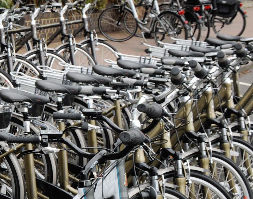 Seville: Guided Tour by Electric Bike - Plaza de España and Maria Luisa Park by bike
