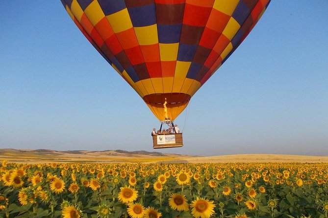 Seville Hot-Air Balloon Ride with Breakfast, Cava & Hotel Pick up - The best parts of the morning