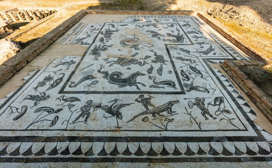 Seville: Italica Roman Ruins City Tour - Who should book the Italica tour?