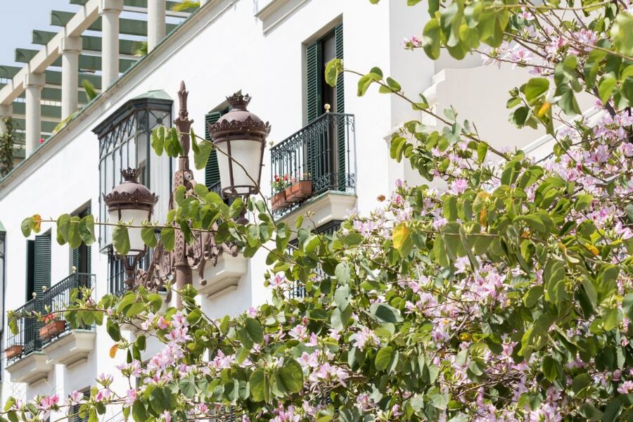 Seville Jewish Quarter walking tour: Santa Cruz District - Should you book it?