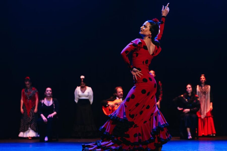 Seville: Live Flamenco Dancing Show Ticket at the Theater - Flamenco takes the whole stage
