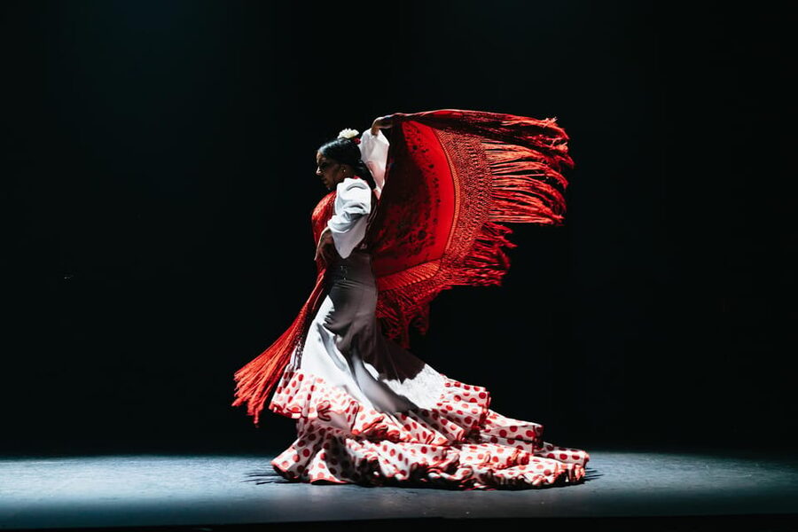 Seville: Live Flamenco Dancing Show Ticket at the Theater - How $27 measures up