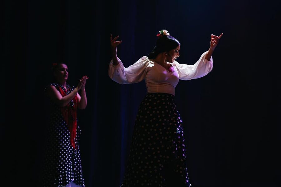 Seville: Live Flamenco Dancing Show Ticket at the Theater - Who will enjoy this show most