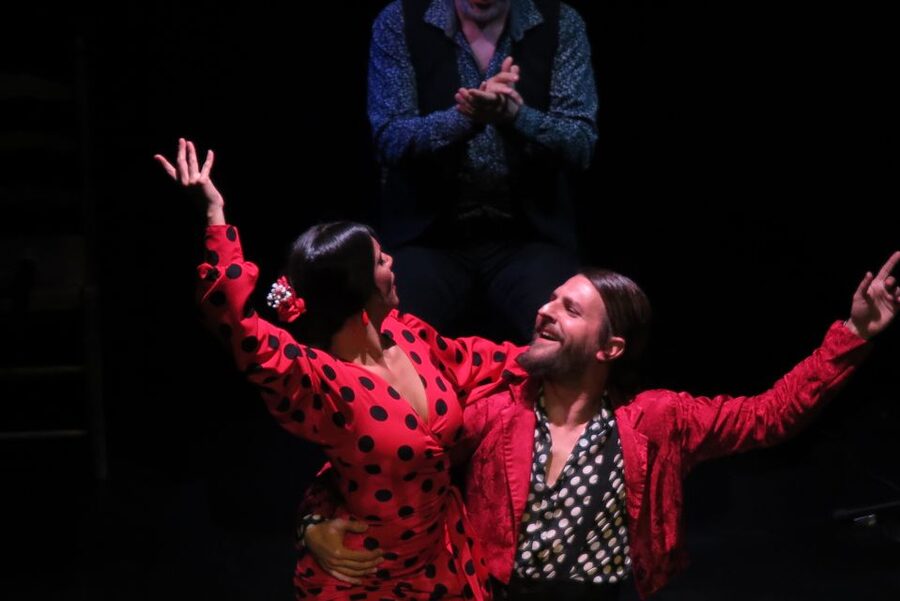 Seville: Live Flamenco Show at "Teatro Flamenco Triana" - Is $28 Good Value?