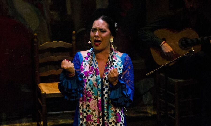 Seville: Live Flamenco Show at "Teatro Flamenco Triana" - Who Should Book This Show?