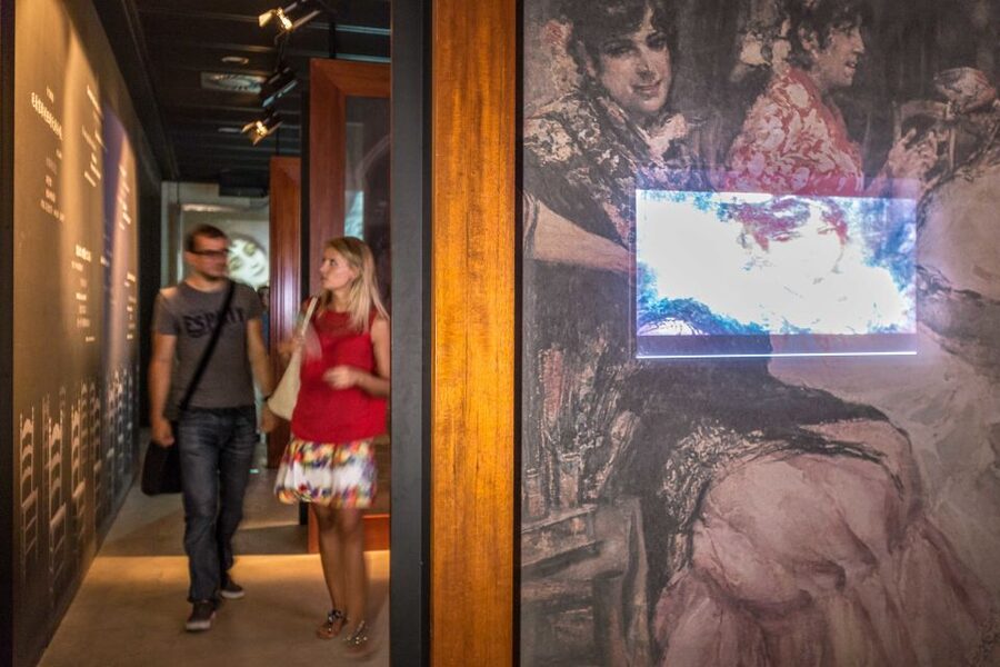 Seville: Museum of Flamenco Dance Admission Ticket - A close look at flamenco, not a live performance