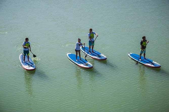 Seville: Paddle Surf Route and Class - Should you book the Seville paddleboard route?