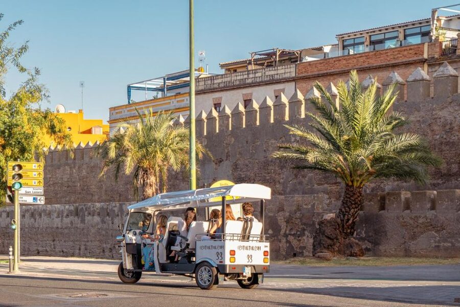 Seville: Private City Tour by Eco Tuk Tuk - Comfort, weather, and practical details