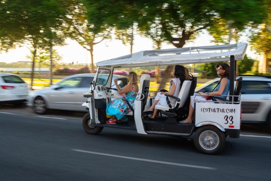 Seville: Private City Tour by Eco Tuk Tuk - A useful first look at Seville