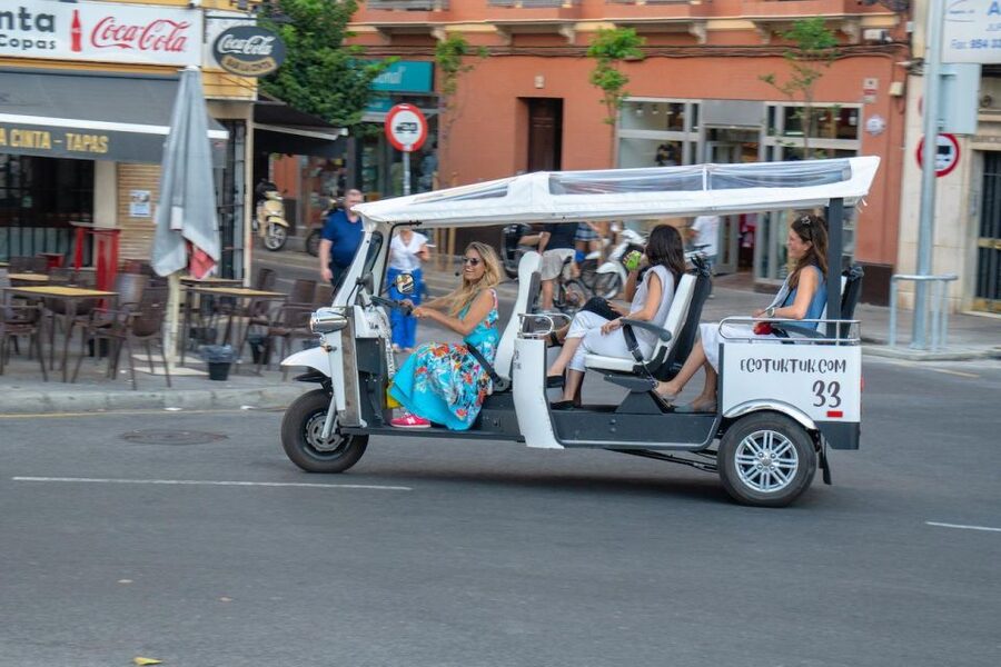 Seville: Private City Tour by Eco Tuk Tuk - What the price includes, and where the value lies