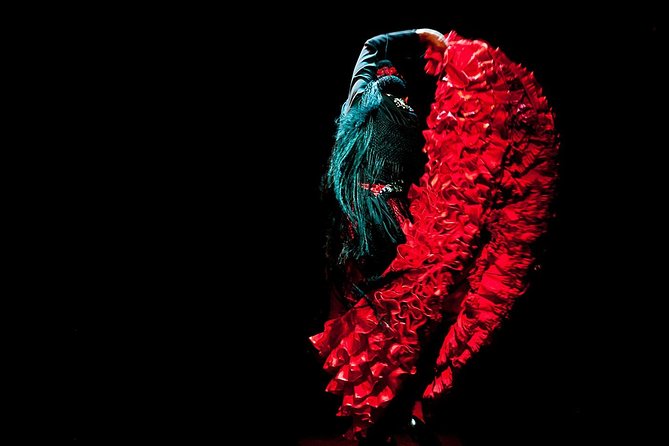 Seville: Puro Flamenco Show - Museo del Baile Flamenco - Who will enjoy this show most