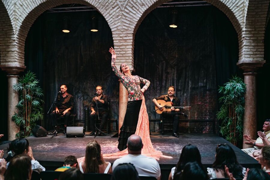 Seville: Puro Flamenco Show with Optional Museum Ticket - Flamenco in a Santa Cruz courtyard