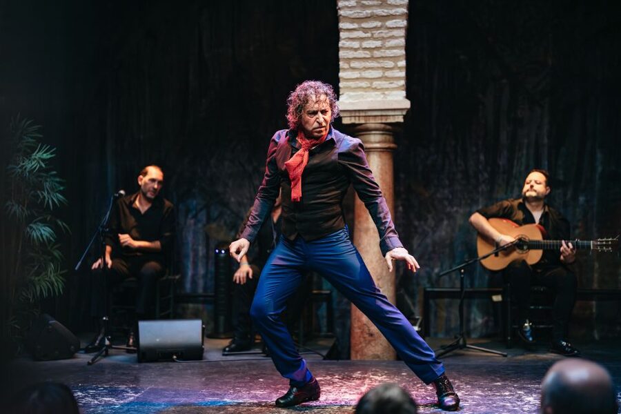 Seville: Puro Flamenco Show with Optional Museum Ticket - Who will enjoy this show most?