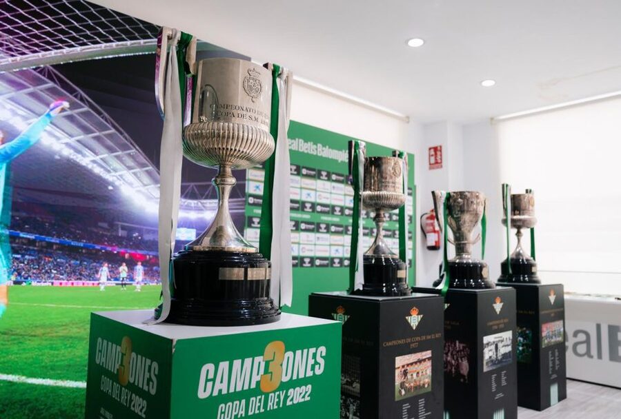 Seville: Real Betis Tour at the La Cartuja Stadium - Who will get the most from the tour