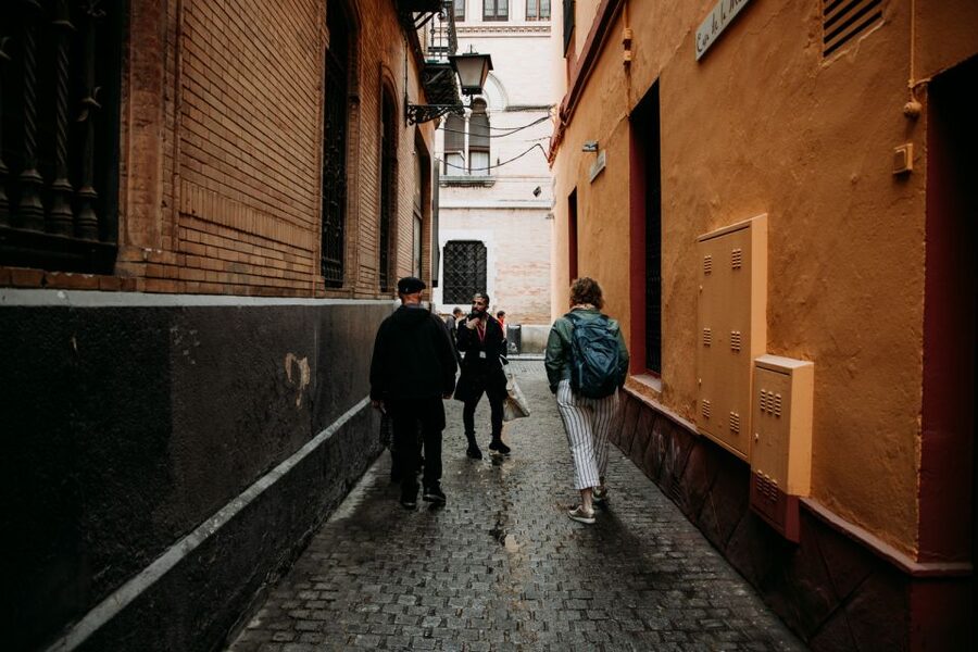 Seville: Tapas, Taverns, and History Walking Tour - Practical details before you go