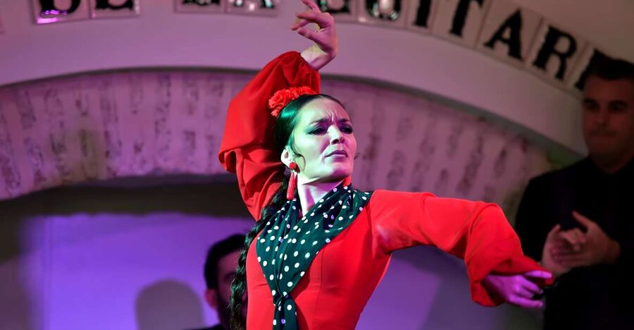 Seville: Ticket to Flamenco Show at La Casa de la Guitarra - A flamenco performance in the heart of Santa Cruz