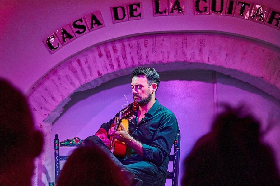 Seville: Ticket to Flamenco Show at La Casa de la Guitarra - The guitars set the tone before the show