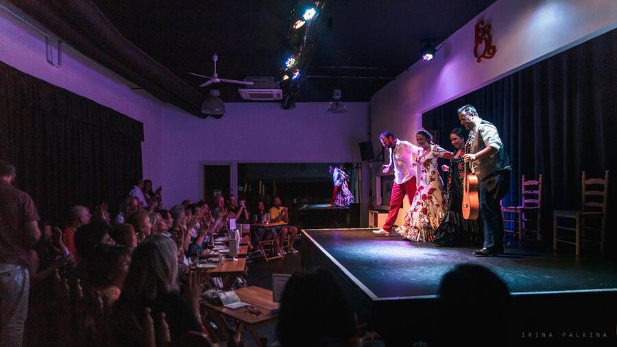 Seville: Traditional Flamenco Show in Triana - A close-up flamenco show in Triana
