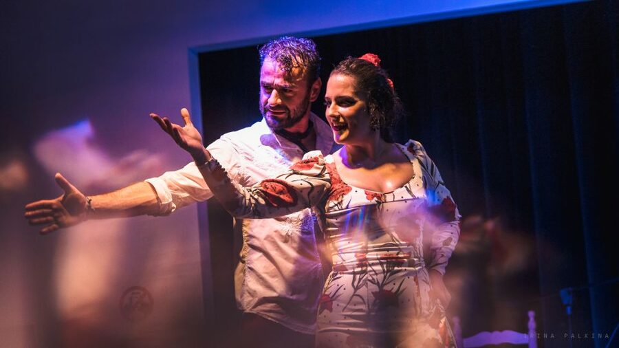 Seville: Traditional Flamenco Show in Triana - Is $26 good value for an hour?