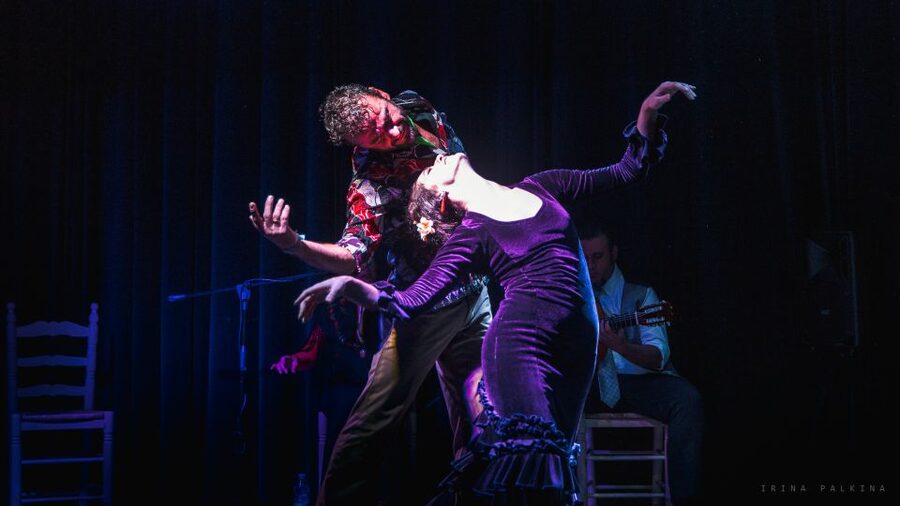 Seville: Traditional Flamenco Show in Triana - Who will enjoy this performance most?