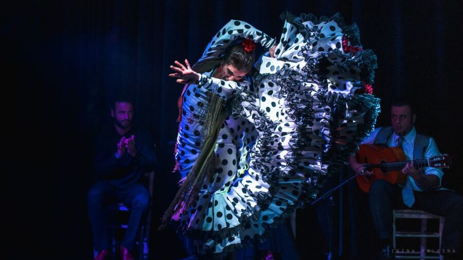 Seville: Traditional Flamenco Show in Triana - Should you book the Triana flamenco show?