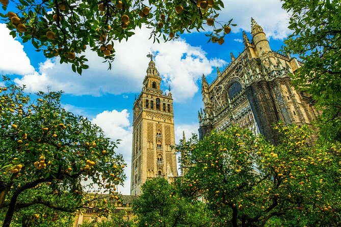 Skip the Line Seville Alcázar, Cathedral & Giralda Guided Tour - Pause in the Hall of Ambassadors and Patio de las Doncellas